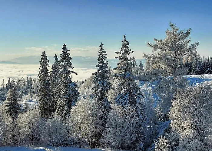 - Rezidencia Armeria 30 アパート Štrbské Pleso